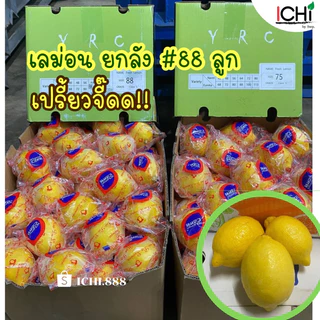 ยกลัง 🍋 เลมอนนอก สินค้านำเข้า (แพ็คเกจแตกต่างกันตามล๊อตสินค้า)