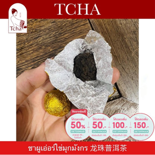 [ลด 50% ใส่โค้ดDET50MAR] TCHA | รวมชาผูเอ่อร์สุกขนาดทดลอง 熟普洱 Ripe Puer Sample Size