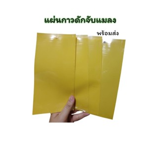 (พร้อมส่ง 🇹🇭) แผ่นกาวดักแมลง กาว2หน้า