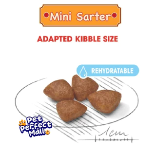 Royal Canin Mini Starter 8.5kg / Mini Puppy 8kg โรยัลคานิน แม่สุนัข ลูกสุนัข พันธุ์เล็ก กระสอบขนาด 8 กิโลกรัม