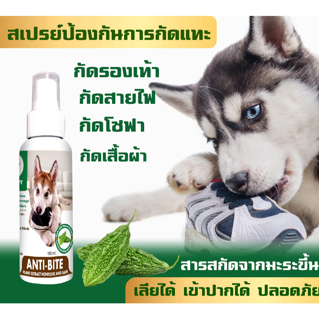 ANTI-BITE สเปรย์ขมสเปรย์ ห้ามกัดป้องกันการกัดแทะ กัดรองเท้า สกัดจากมะระขี้นก เลียได้ปลอภัย 100 ml.