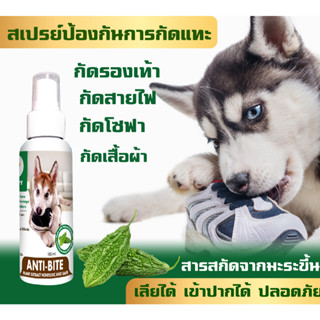 ANTI-BITE สเปรย์ขมสเปรย์ ห้ามกัดป้องกันการกัดแทะ รองเท้า โซฟา สายไฟ ฟอนิเจอร์ สกัดจากมะระขี้นก เลียได้ปลอภัย 100 ml.