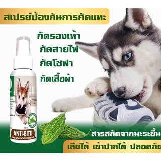 ANTI-BITE สเปรย์ขมสเปรย์ ห้ามกัดป้องกันการกัดแทะ กัดรองเท้า สกัดจากมะระขี้นก เลียได้ปลอภัย 100 ml.
