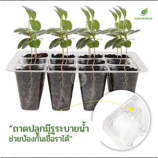 ถาดเพาะเมล็ดทรงสูง 6หลุม / 12หลุม ถาดเพาะต้นกล้า ถาดปักชำกิ่ง seedling tray พร้อมฝาบ่มระบายอากาศ ควบแน่นต้นไม้