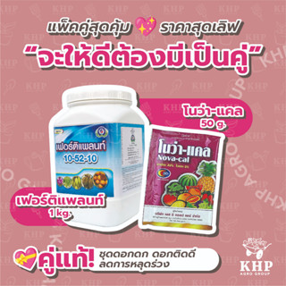 แพ็คคู่ เฟอร์ติแพลนท์ 10-52-10 (1000 กรัม) + โนว่า-แคล (50 กรัม) สูตรเร่งดอกดก ดอกติดดี ลดการหลุดร่วง พร้อมขยายผลใหญ่