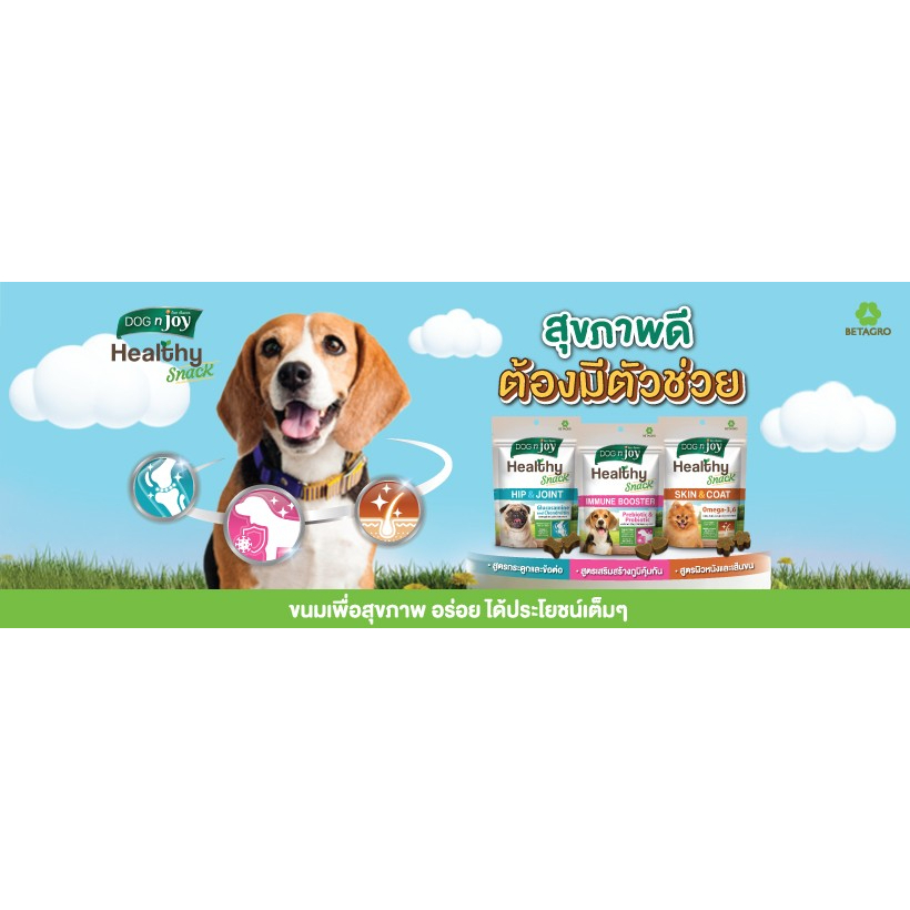 Dog n' Joy Healthy snack 100g. (เฮลตี้สแน็ค)