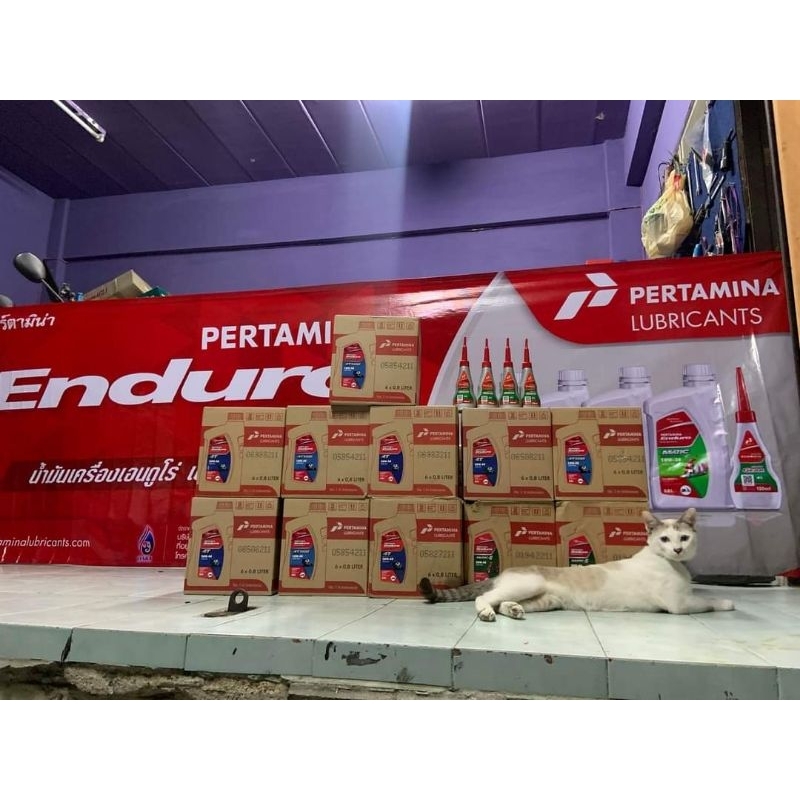 น้ำมันเครื่อง Enduro 10w40 0.8 ลิตร