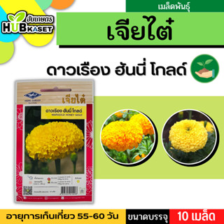 เจียไต๋ 🇹🇭 ดาวเรือง ฮันนี่โกลด์ ขนาดบรรจุประมาณ 10 เมล็ด ระยะเก็บเกี่ยว 55-75 วัน