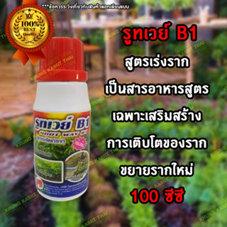 รูทเวย์บี1(100cc)เร่งรากพืชสำหรับแช่ท่อนพันธ์ หรืองานเพาะชำกระตุ้นเร่งการเกิดราก ได้ทั้งแช่และฉีดพ่น