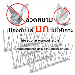 🚫 หนามไล่นก ไล่นกพิราบ ที่ดักนก กันนกพิราบ Bird Spikes กันนกเกาะ อุปกรณ์ไล่นกทำรัง ทนทาน กำจัดนกได้ผลจริง 100%