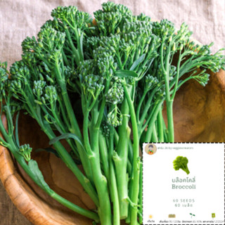 เมล็ดผักบล๊อคโคลี่ (Broccoli, Broccoletto ) ฟาร์ม26 อัตรางอก85-90% เมล็ดพันธุ์ผัก