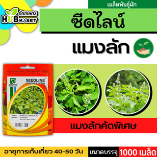 ซีดไลน์ 🇹🇭 แมงลักคัดพิเศษ SL ขนาดบรรจุประมาณ 1000 เมล็ด อายุเก็บเกี่ยว 40-50 วัน