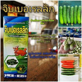 สารควบคุมการเจริญเติบโตของพืช กรดจิบเบอร์เรลลิค 2% (Gibberellic Acid ) ขนาด 100cc