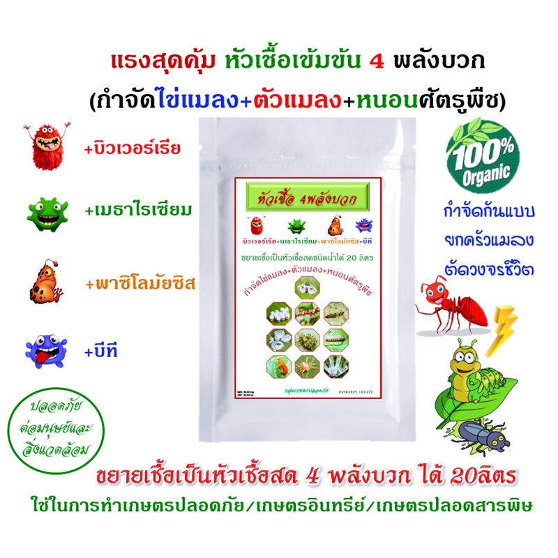 หัวเชื้อ บิวเวอร์เรีย+เมธาไรเซียม +พาซิโลมัย+บีที +อาหารเลี้ยงเชื้อ ขยายเชื้อเป็นหัวเชื้อชนิดน้ำ4พลังบวกได้20ลิตร