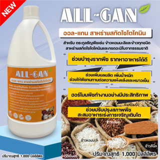 ปุ๋ยน้ำตระกูลธัญพืช1000ML.บำรุงราก เพิ่มผลผลิต และน้ำหนักให้กับข้าว ALL GAN สาหร่ายสกัดไซโตไคนิน ต้านทานความแห้งแล้ง