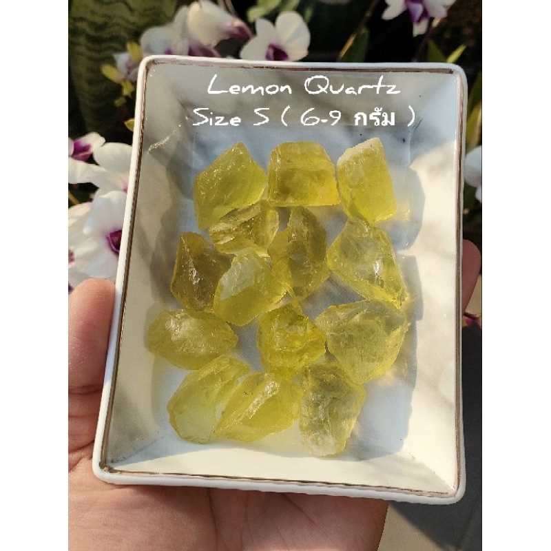 🍋 เลม่อน ควอตซ์  Size L ( Lemon Quartz Size L ) 🌿 ราคาต่อชิ้น เเบบสุ่ม สีเหลืองสดใส หินเเท้ น่าสะสม 🌿 น้ำหนัก 16-20 กรัม