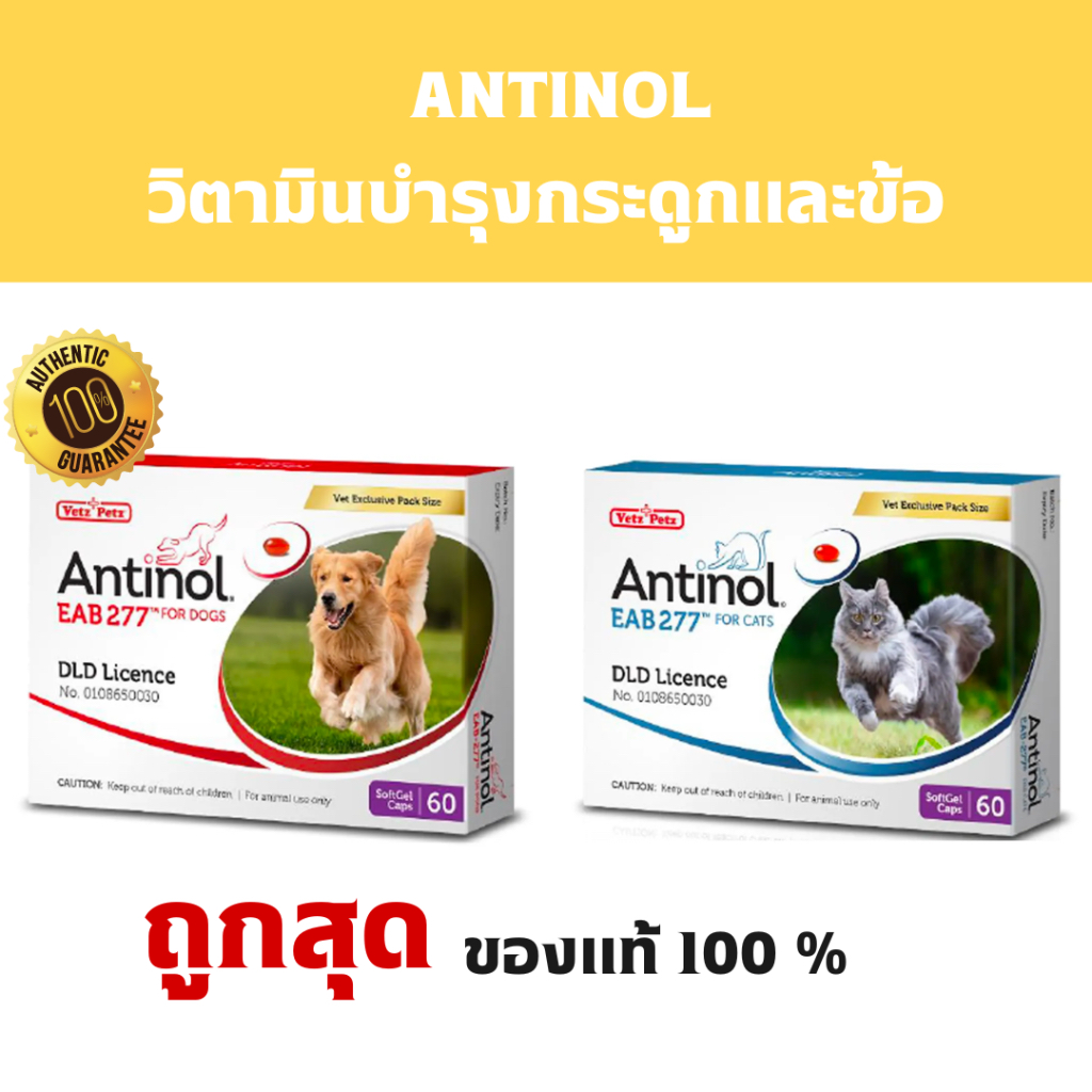 (แบ่งขาย) ของแท้ Antinol Dog & Cat ช่วยบำรุงข้อ กระดูก ขน ผิวหนัง และไต สำหรับสัตว์เลี้ยง สุนัข และแมว ไม่มีกล่อง