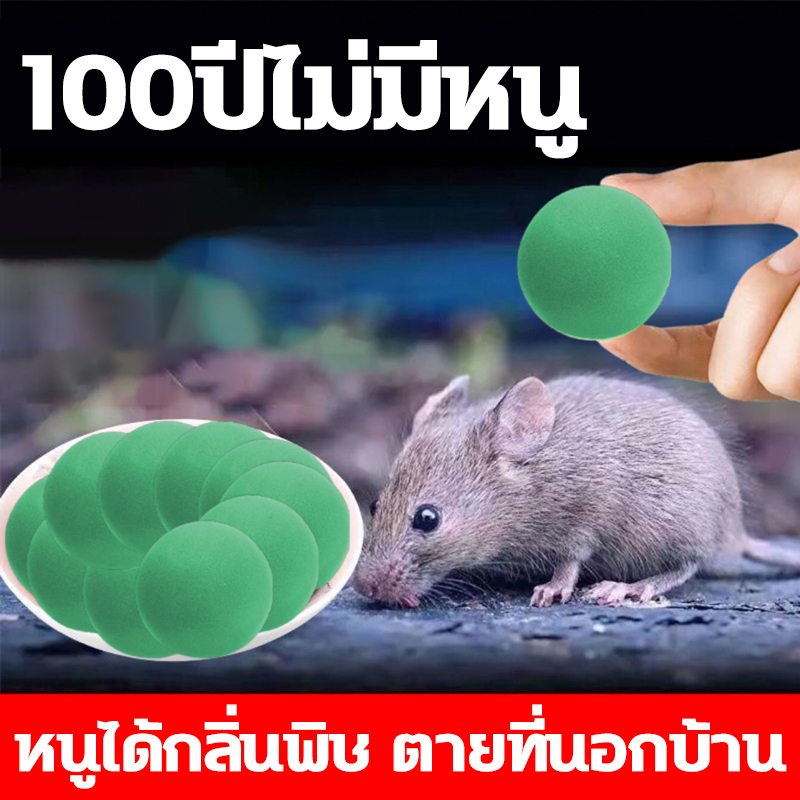 ไม่มีหนู ลูกเหม็นไล่หนู กําจัดหนู ใช้งานง่าย เพียงวางไว้ในที่ที่คุณต้องการ ยาไล่หนู เครื่องไล่หนู กําจัดหนูในบ้าน