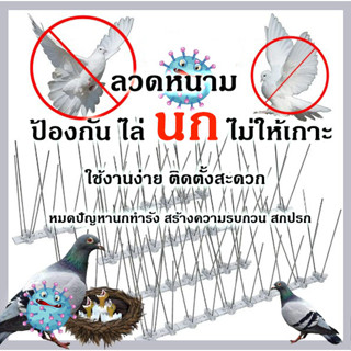 🚫 หนามไล่นก ไล่นกพิราบ ที่ดักนก กันนกพิราบ Bird Spikes กันนกเกาะ อุปกรณ์ไล่นกทำรัง ทนทาน กำจัดนกได้ผลจริง 100%