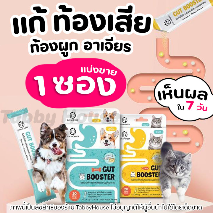 เห็นผลใน7วัน Sun Wonder Gut Booster โพรไบโอติก แก้ท้องเสีย ท้องผูก ท้องอืด ลำไส้ ระบบย่อยมีปัญหา