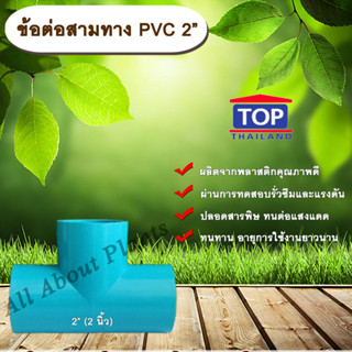 ข้อต่อสามทาง PVC ตรา TOP 2”(2นิ้ว) ข้อต่อสามทางท่อPVC ขนาด 2นิ้วallaboutplants