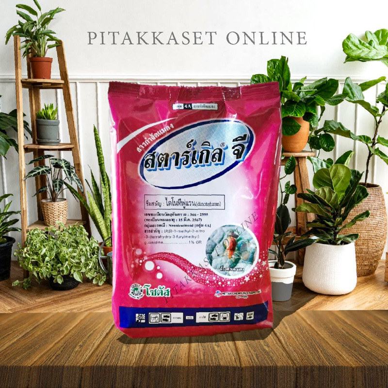 สตาร์เกิลจี ขนาด 1kg รองก้นหลุมต้นไม้ก่อนปลูก ป้องกันแมลงเพลี้ย มด ปลวก