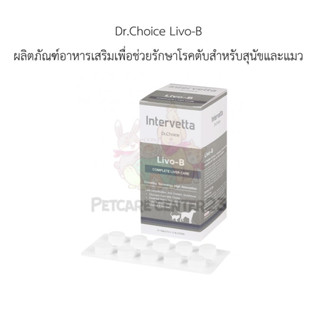 Dr.Choice Livo-B อาหารเสริมบำรุงตับสำหรับสุนัขและแมว จำนวน 100 เม็ด