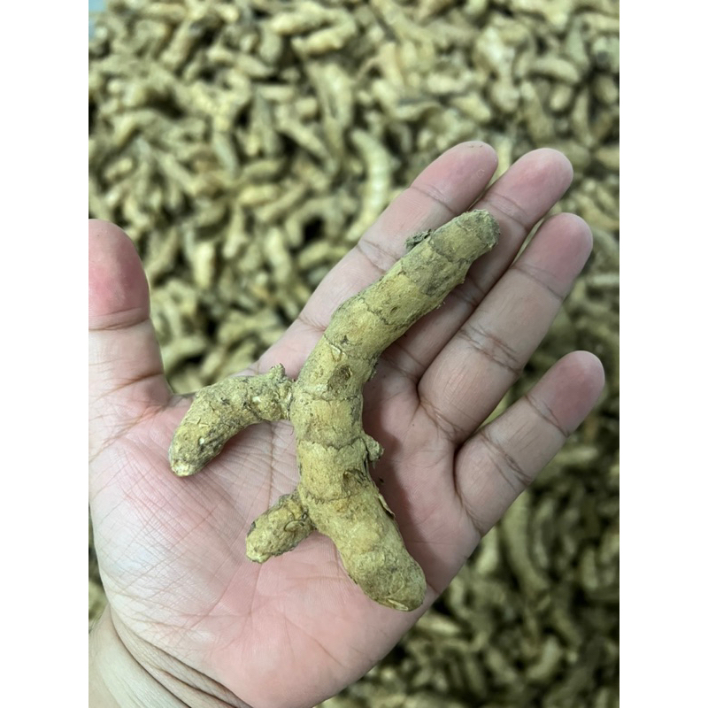 ส่งฟรี!! ขมิ้นขาวสด ออเเกนิค 🔥 ใช้โค้ดส่งฟรีได้ - รูปที่ 2