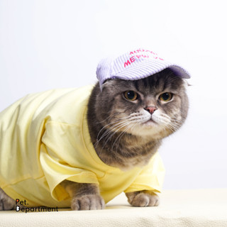 Yellow Basic Tee for dogs, cats, and rabbits เสื้อยืดสำหรับน้องหมา แมว กระต่ายสีเหลือง