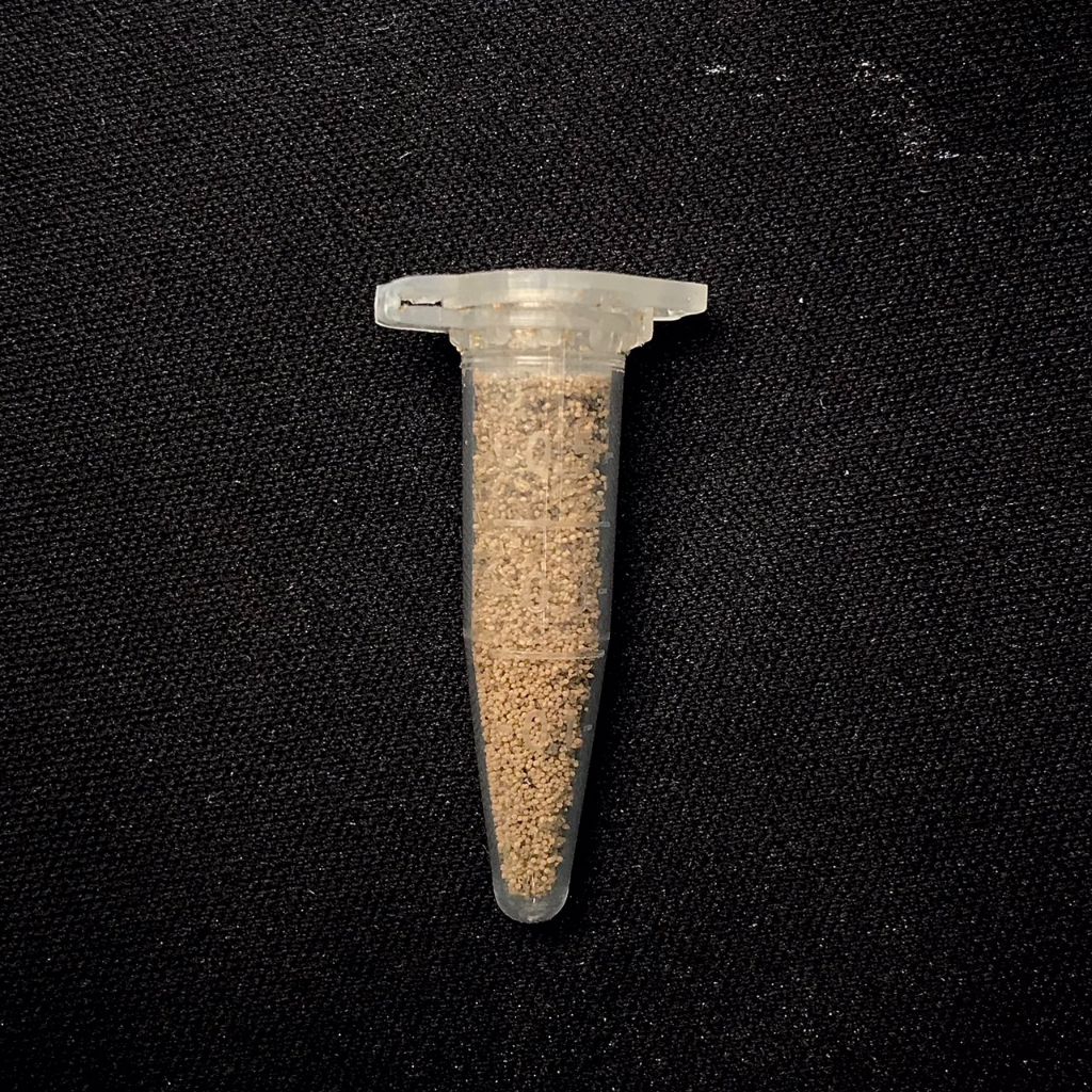 ไข่ไรน้ำนางฟ้าสิรินธร 1 หลอดไมโครทิวป์ขนาด 0.5 ml สำหรับเพาะเลี้ยงเป็นอาหารลูกปลา