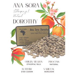 พร้อมส่ง เมล็ดกาแฟดิบ Ana Sora Dorothy Natural Process/ เมล็ดกาแฟนอก/ เมล็ดกาแฟสารเอธิโอเปีย