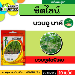 ซีดไลน์ 🇹🇭 บวบงูคัดพิเศษ นาคี ขนาดบรรจุประมาณ 10 เมล็ด อายุเก็บเกี่ยว 45-50 วัน