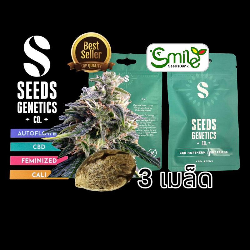 เมล็ดกัญชา Seeds Genetics.Co - CBD Northern Light (Fem)