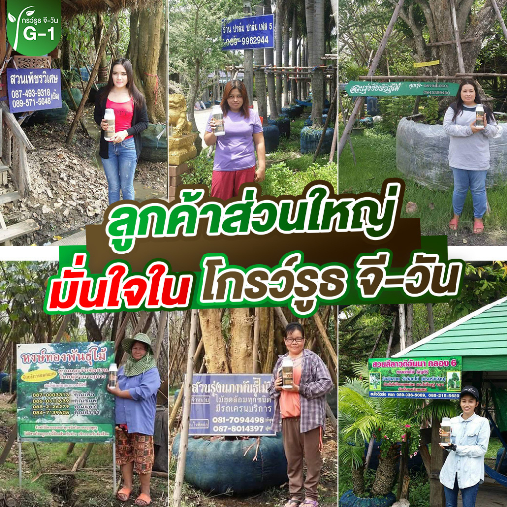 ยาเร่งราก โปร 4 ขวด  แบบผง โกรว์รูธ จี-วัน เร่งราก เร่งใบ น้ำยาเร่งราก กระตุ้นการแตกใบอ่อนต้นสมบูรณ์ - รูปที่ 3