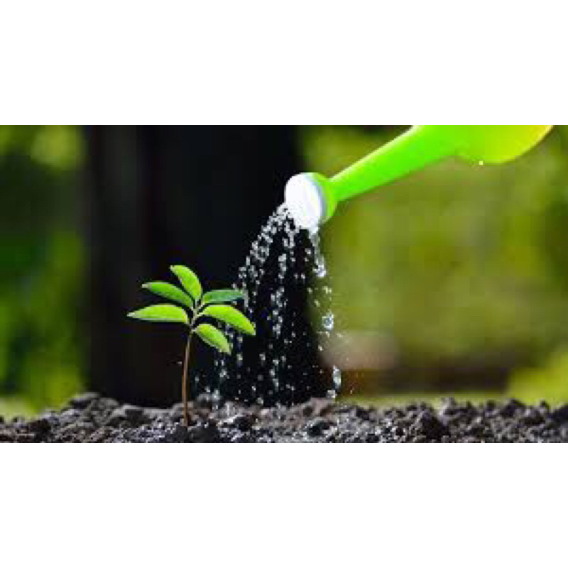 ปุ๋ยเกร็ด เยอรมัน 20-20-20 เร่งใบ เร่งดอก เร่งผล แบ่งขาย