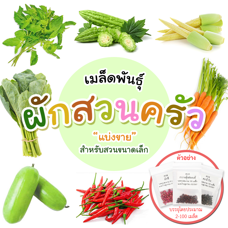 ซื้อ [ติดตามลด 20%] เมล็ดผักสวนครัว ผักซองแบ่งขาย เมล็ดใหม่คัดพิเศษ เหมาะสำหรับบ้านและสวนขนาดเล็ก (ชุด 1)