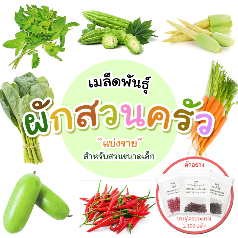 [ติดตามลด 20%] เมล็ดผักสวนครัว แบ่งขาย เหมาะสำหรับทดลองปลูกหรือสวนขนาดเล็ก