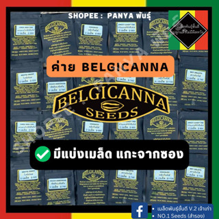 แบ่งเมล็ด‼️เมล็ดกัญชานอก นำเข้า งายค่ายแท้ 💯 สายพันธุ์photo/Autoค่าย Belgicanna (ไม่มีแพ็คเกจค่าย)