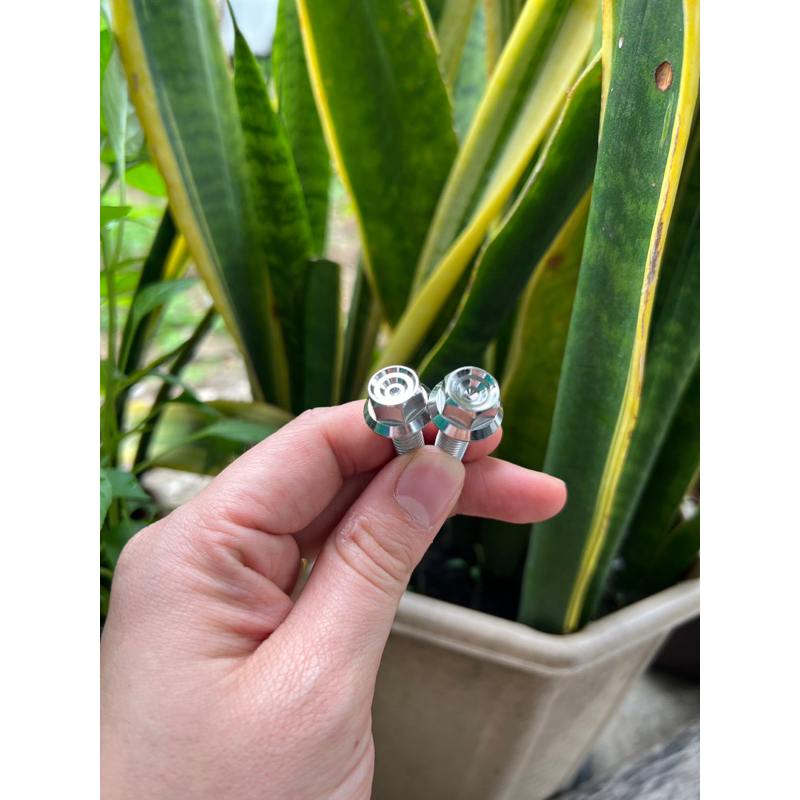 รูปภาพ 3