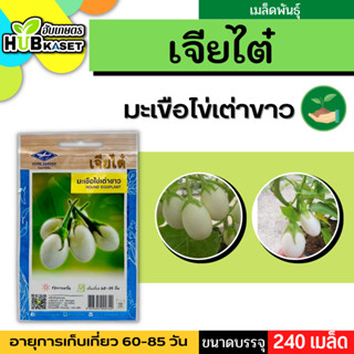 เจียไต๋ 🇹🇭 มะเขือไข่เต่าขาว ขนาดบรรจุประมาณ 240 เมล็ด อายุเก็บเกี่ยว 60-85 วัน