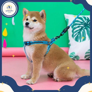 【 มุมมสัตว์เลี้ยง 】 🐶 สายจูงสัตว์เลี้ยง สายจูงสุนัข สายจูงรัดอก หลายสี หลายไซส์ ราคาประหยัด สายจูงแมวรัดอก 🐶