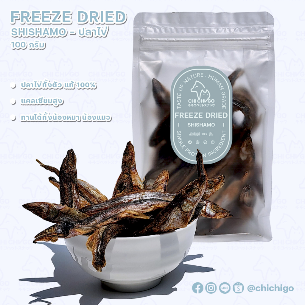 [ปลาไข่] SHISHAMO FREEZE DRIED