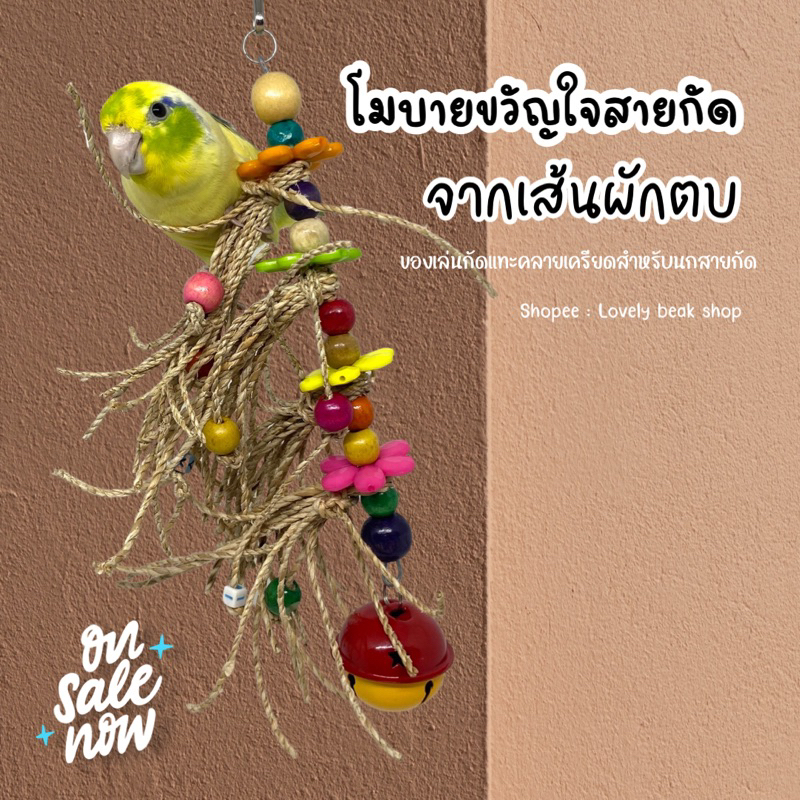โมบาย..ขวัญใจสายกัด ของเล่นนกจากผักตบชวา ของกัดแทะนกแก้วขนาดเล็ก อุปกรณ์ตกแต่งกรงนก