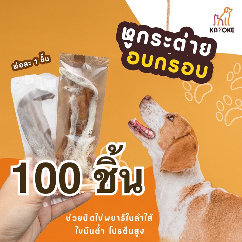 ใส่โค้ด KAYM5Y279 ลดทันที 15% หูกระต่าย 100 ชิ้น ราคาพิเศษ