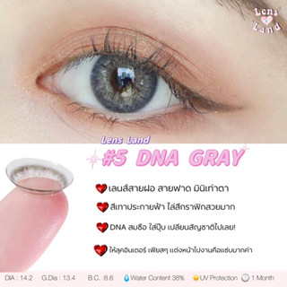 คอนแทคเลนส์รายเดือน รุ่น DNA Gray bylensland