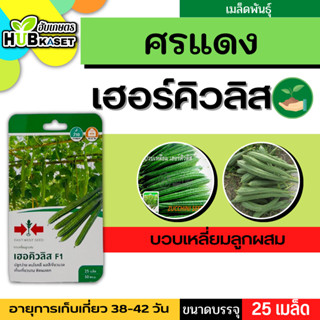 ศรแดง 🇹🇭 บวบเหลี่ยมลูกผสม เฮอคิวลิส F1 ขนาดบรรจุประมาณ 25 เมล็ด อายุเก็บเกี่ยว 38-42 วัน