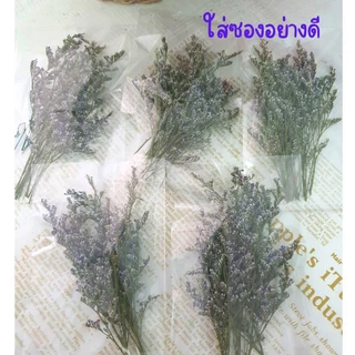 ซองละ20บาทดอกไม้แห้ง ดอกแคสเปียแห้ง ดอกสุ่ยแห้ง ดอกสเตติสแห้ง ดอกไม้แห้งหลายชนิดนำไปตกแต่งDIY