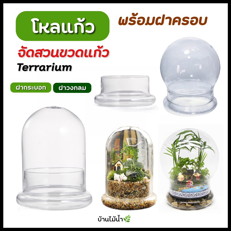 Terrarium โหลฝาครอบ เทอร์ราเรียม โหลโดม โหลแก้ว โหลสวนขวด โหลจัดสวนขวด โหลเทอร์ราเรียม โหลไม้ชื้น | บ้านไม้น้ำ🌿