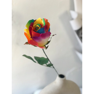 ดอกกุหลาบสีรุ้ง Rainbow Rose 1 ก้าน