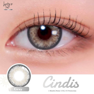 Cindis gray พร้อมส่งค่าสายตา (lovelysoft)